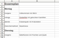 Vorlage für einen Essensplan zum Abnehmen