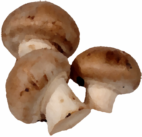 Champignons